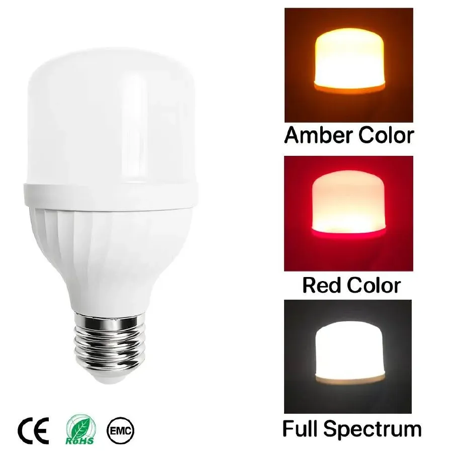 h6c1caed281dc400fba4dac230e93c267g.webp