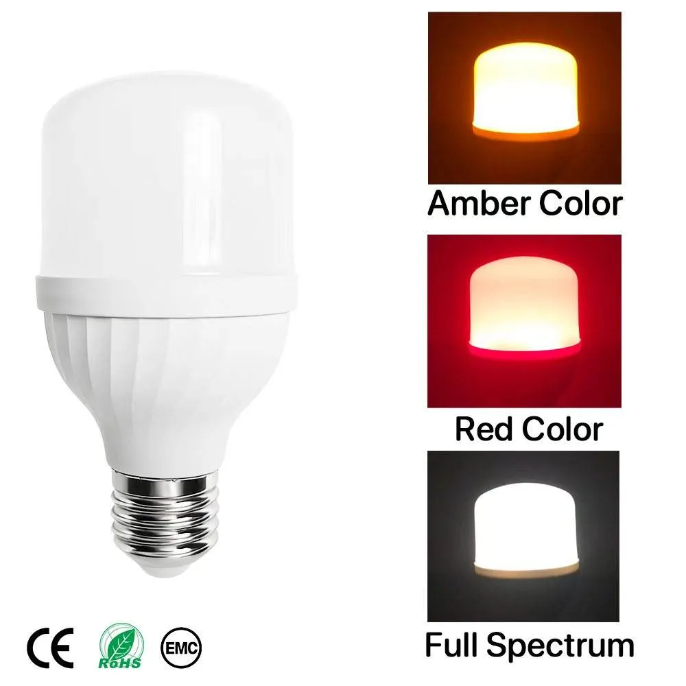 h6c1caed281dc400fba4dac230e93c267g.webp