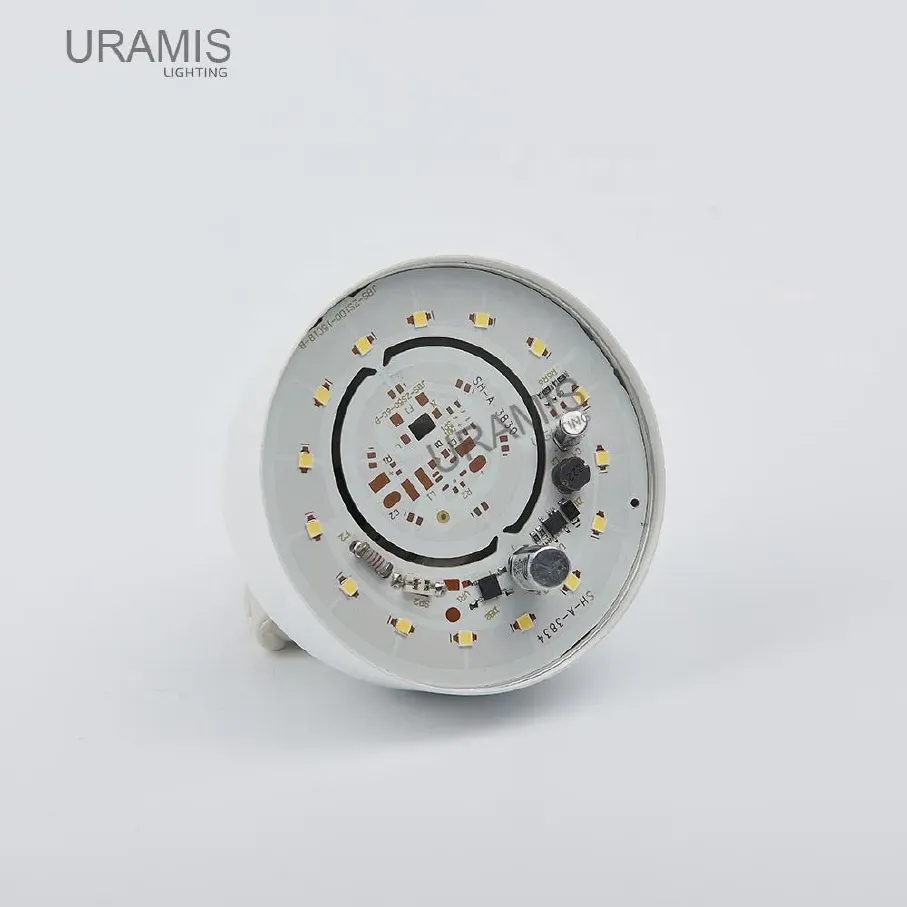 zhu-tu-004.webp